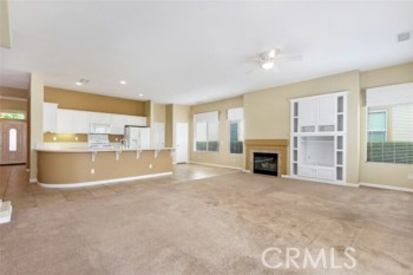 24352 Songsparrow Photo